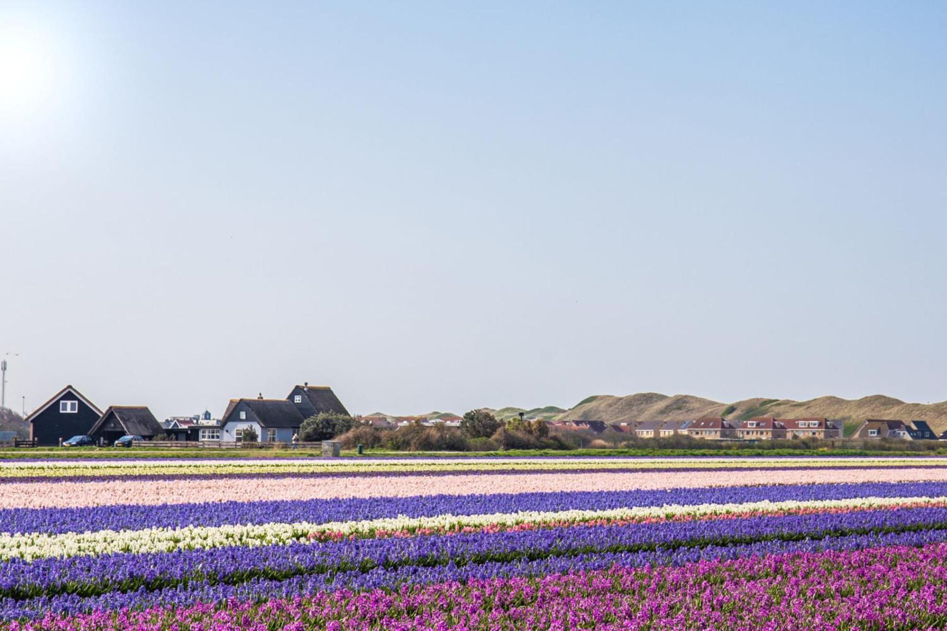 De Duintuin - In De Duinen, Groote Keeten Aan Zee Каллантсог Экстерьер фото
